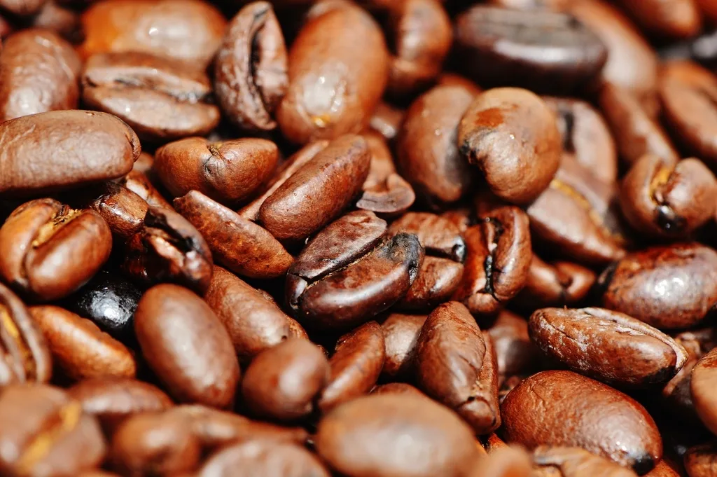 Granos de café tostado